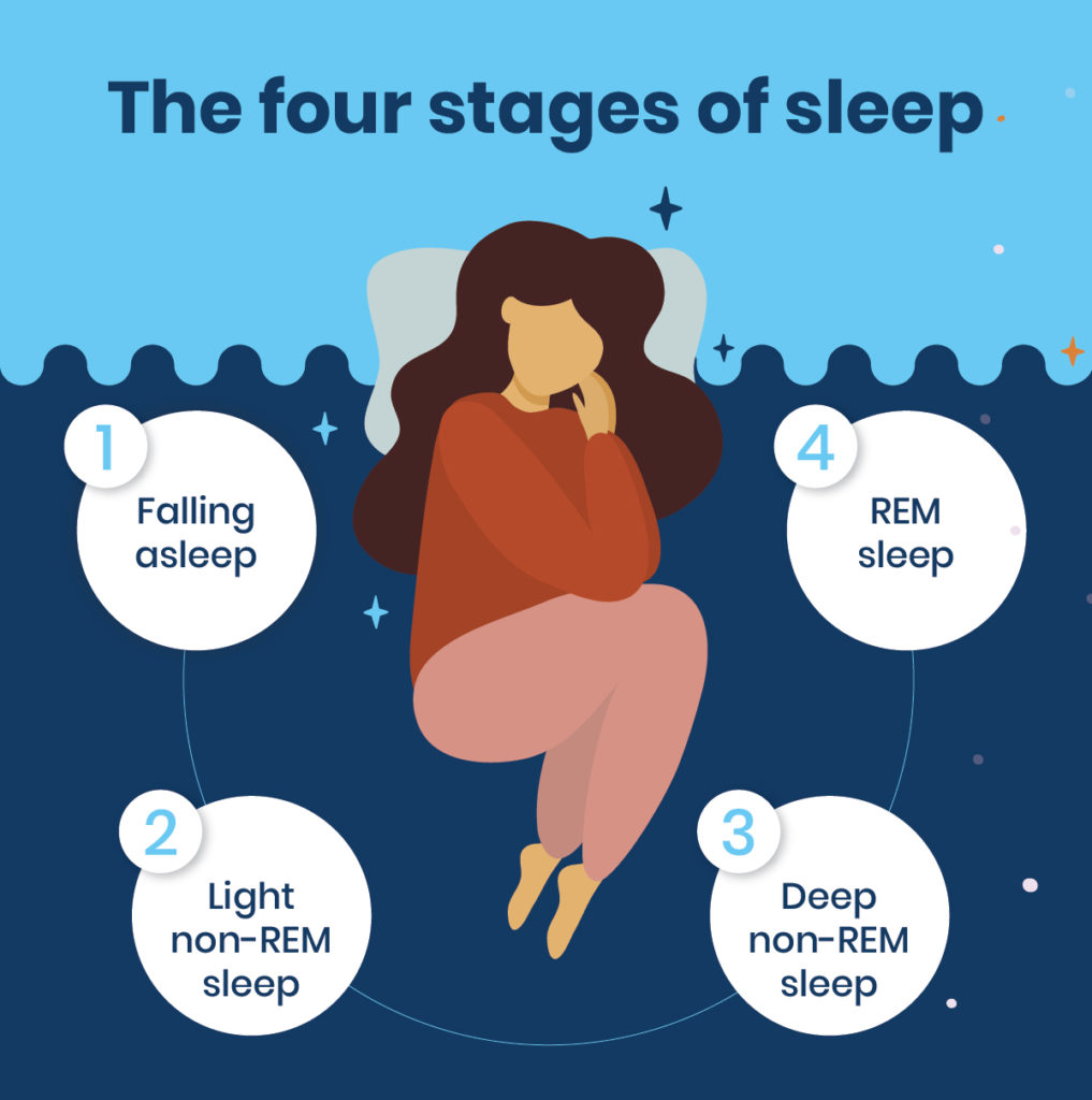 Sleep Stages [4 Types of Sleep Stages] | Sleep.ai